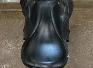 18 inch saddle!