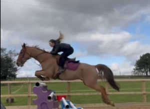 2 stables available for backing and schooling livery