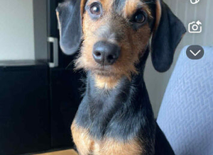 Beautiful boy