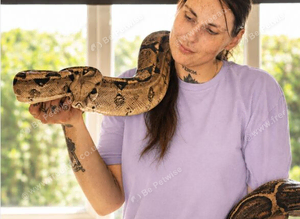 Boa Constrictor with tank for sale
