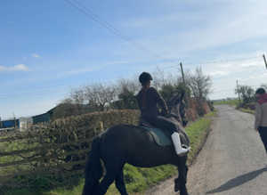 Looking for a field with stables