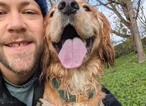 Matty's Dog Walks South London