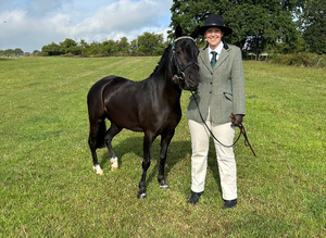 12.2hh pony for part loan near otley