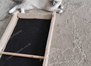 Siberian