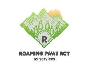 K9 Services- Dog Walker, Sitter & Taxi Service!