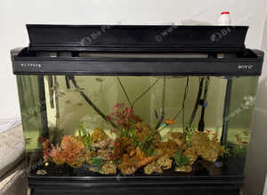 300L boyu fish tank