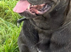 Beautiful 2 half year old boy