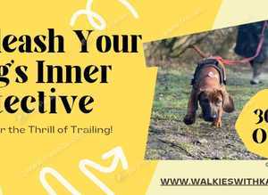 MANTRAILING INTRODUCTION COURSE