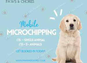 Animal microchipping