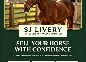 Sales Livery