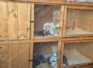 Stack 3 hutches