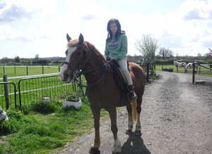 Horses Come For A  Loan  Ride