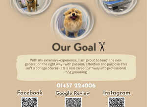Tidy Dog Grooming & SPA LTD (Dog grooming Acadamy)