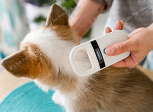 Mobile Pet Microchipping - Devon & Cornwall