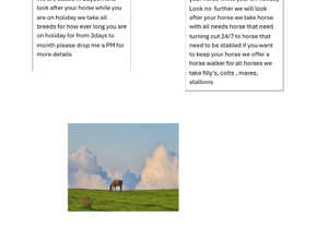 Going on holiday need somewhere for your horse