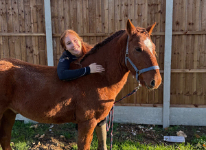Boris 9 year old project pony