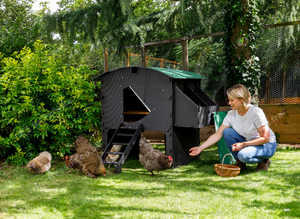 Chicken coops, plastic, red mite resistant