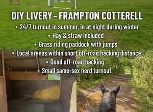 2x stables available DIY