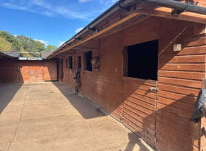 DIY stables and grazing available on small yard