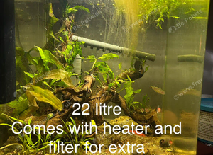 5 fish tanks and fish , trade or sale