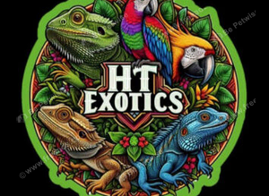 HT exotics are available for rescue