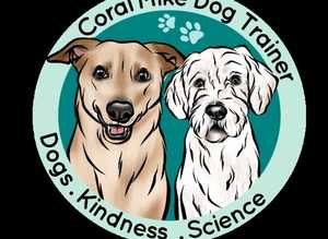 Qualified Modern Dog Trainer