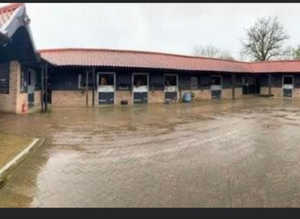 Finchingfield equestrian centre