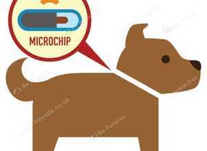 Mobile microchipping