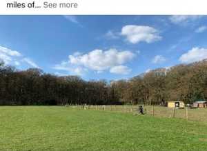 Grass livery near Princes risborough