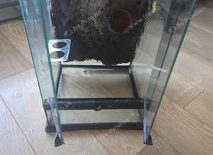 Exo terra reptile tank