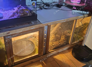 8 and half foot boa