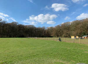 Grass livery available near Princes  Risborough