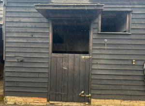 DIY livery for Mares in Dunstable LU6
