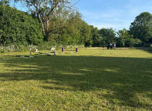 DIY Livery Yard with Grazing