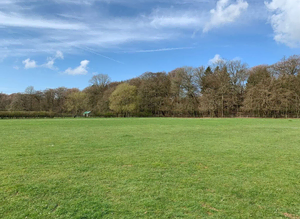 Grass livery available near princes risborough