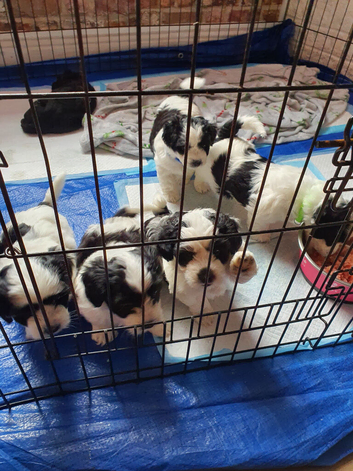 For sale