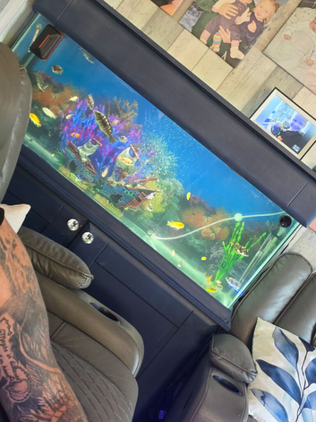 Fish rank aquarium