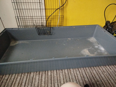 GUINEA PIG CAGE FOR SALE