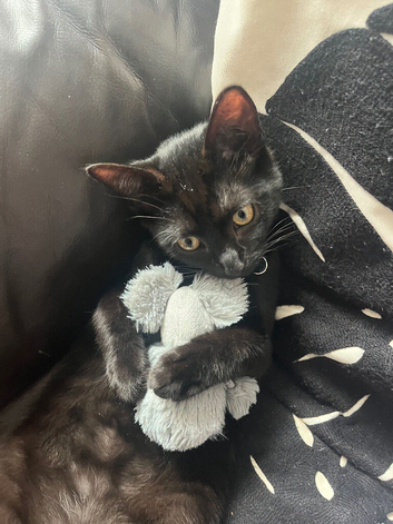 Sweetest boy ever 5 months old