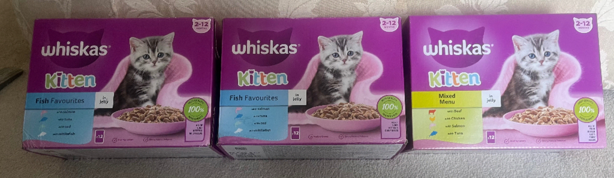 Kitten Equipment For Sale