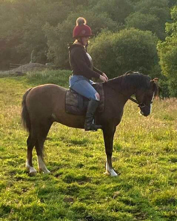 12.2hh 10 year old section b gelding