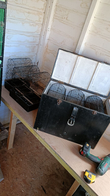 Show/training cages