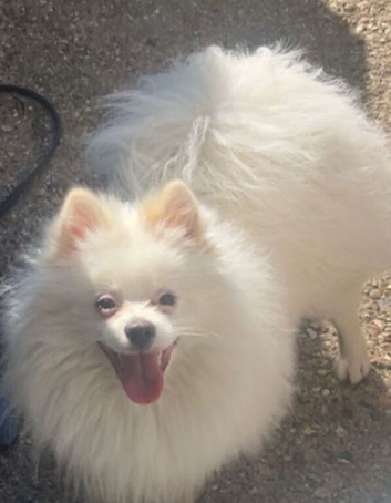 Gorgeous loving boy