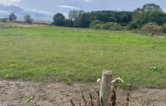 3.4 acres of grazing land in Chester le street