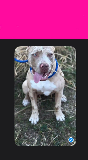 Female | READ FULL AD!
