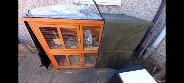 Large Hutch with insulated cover - for Rabbits, or Guinea Pigs.