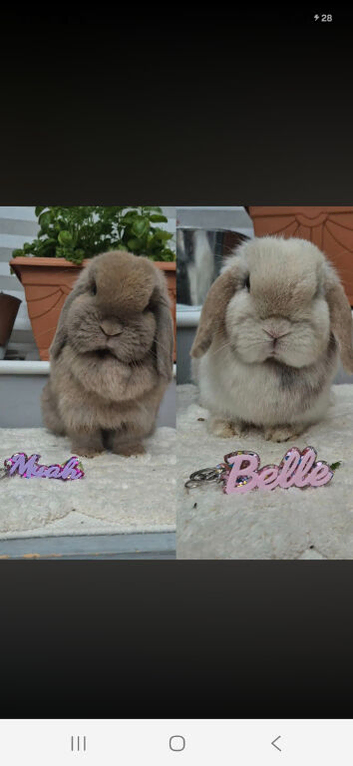 Bonded Girls