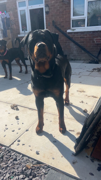 13 month old