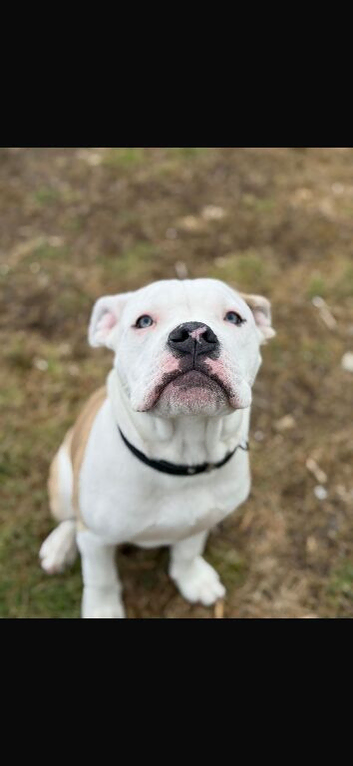 Rehome