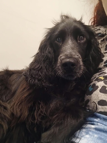 6 month old girl